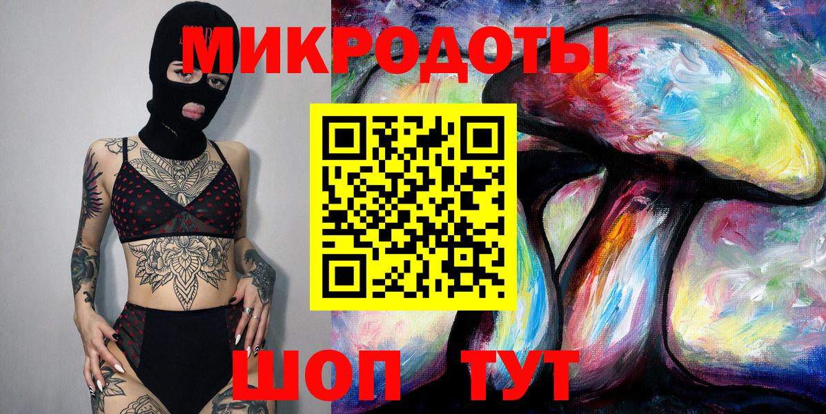 Псилоцибиновые грибы Psilocybe Касимов