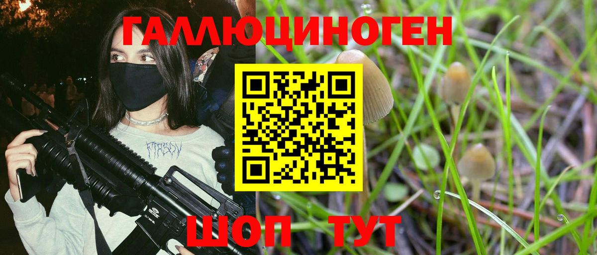 Касимов  Псилоцибиновые грибы Psilocybine cubensis  Вход с VPN  Псилоцибиновые грибы мицелий 